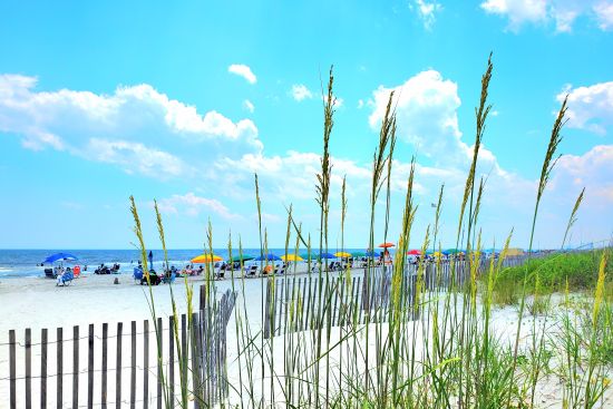 Image for Family-Friendly Vacations at Ocean Dunes Villas: A Beachside Adventure Awaits